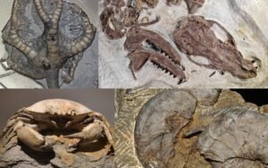 La montre automatique Fossil Marvel Hulk qui vient de sortir fait quelque chose d’inédit : le personnage traverse le cadran de part en part, en relief